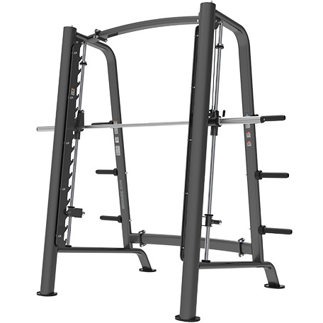 Машина Смита профессиональная BRONZE GYM PL-1721