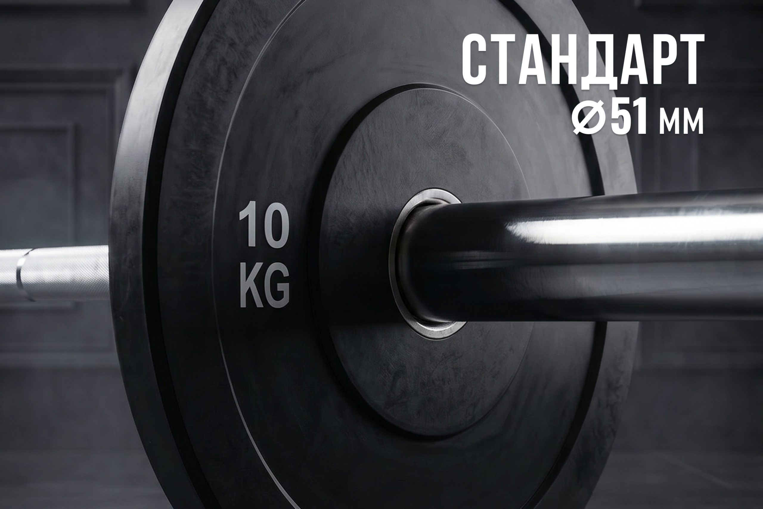 Диск бамперный 51 мм, обрезиненный 10 кг, VictoryFit VF-D51100
